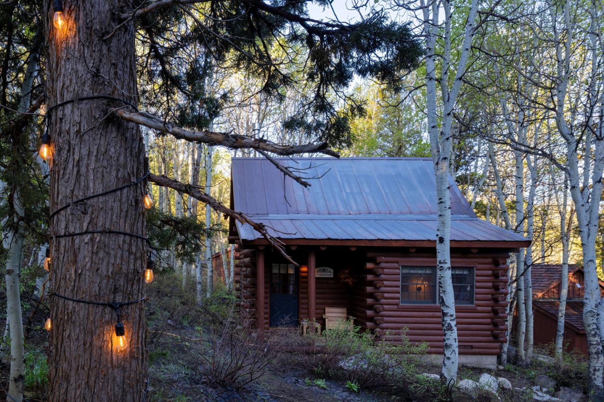 Desolation Hotel Hope Valley Markleeville Rom bilde