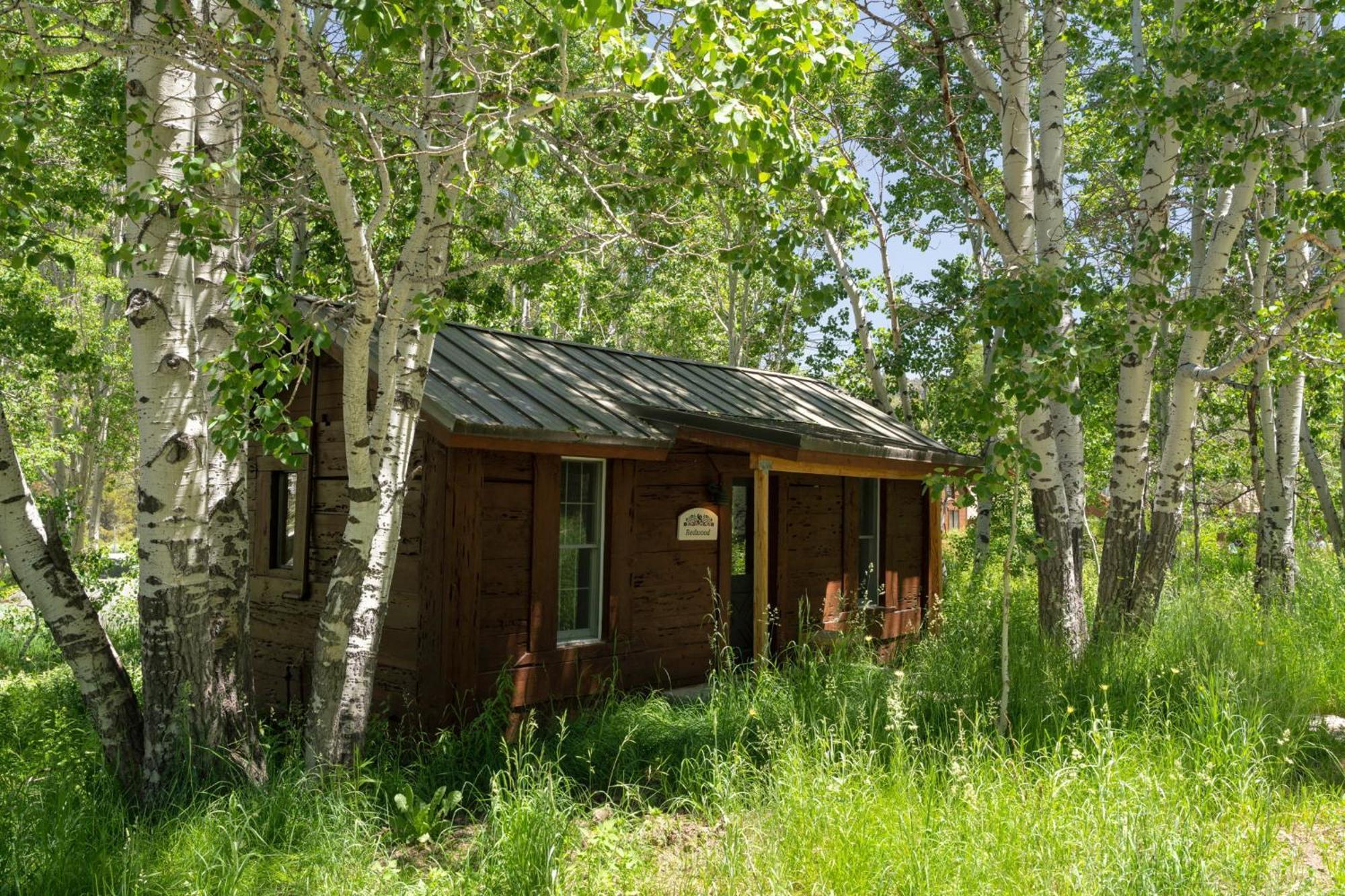 Desolation Hotel Hope Valley Markleeville Rom bilde